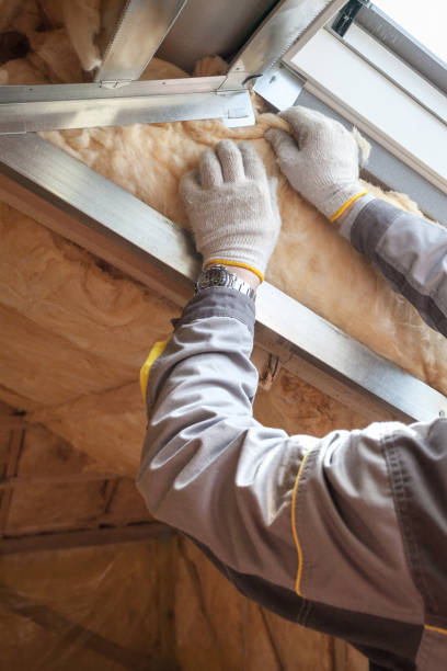 Best Insulation Repair Services  in Clio, MI